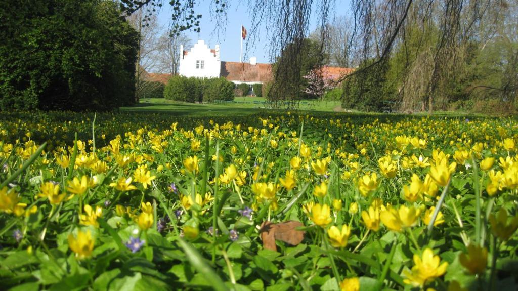 Aengavallen Vellinge Exterior foto